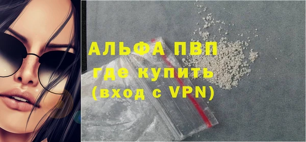 СК Алексин