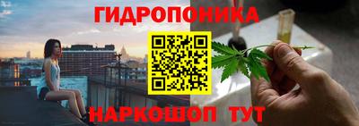 дурь Гагарин