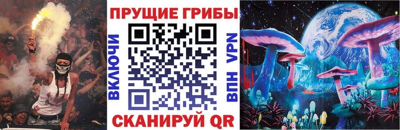 Галлюциногенные грибы Cubensis  что такое наркотик  Нефтекумск 