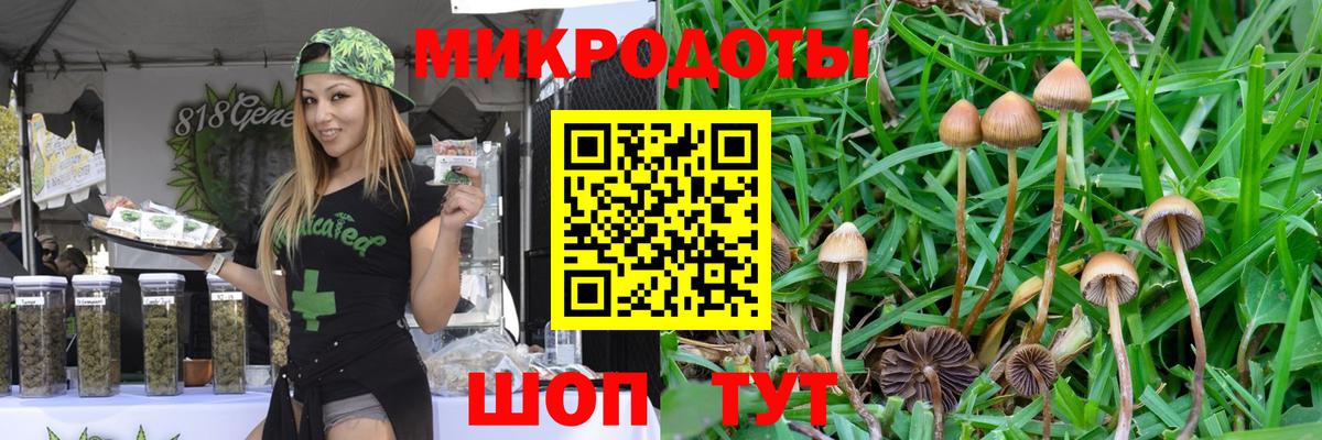 Нефтекумск  Псилоцибиновые грибы Psilocybine cubensis  Вход с VPN  Псилоцибиновые грибы ЛСД 