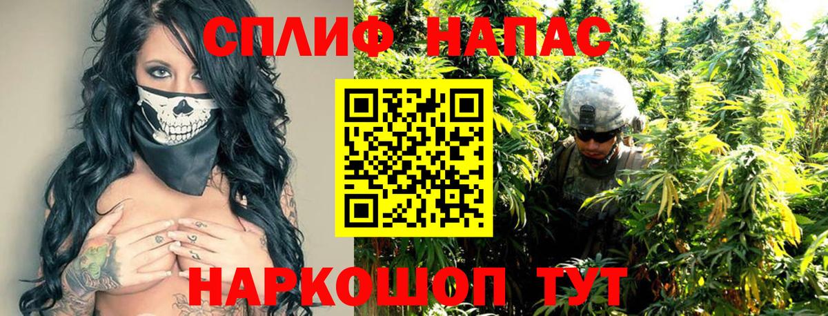 Марихуана SATIVA & INDICA Нефтекумск